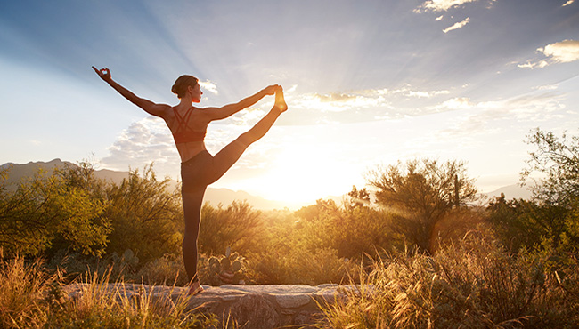 Wellness Travel: Canyon Ranch